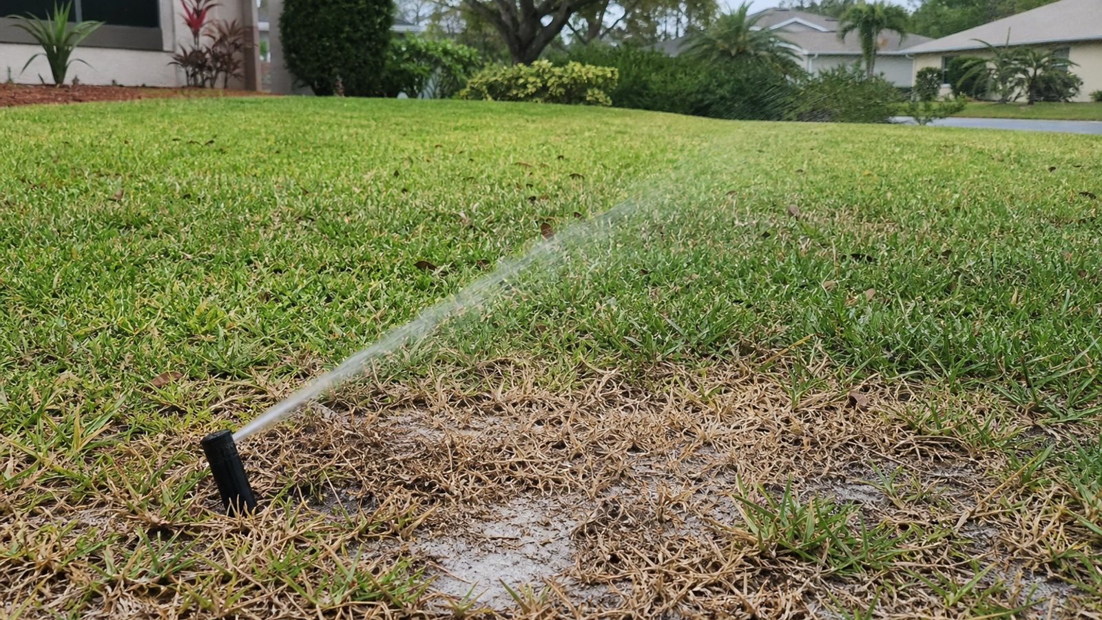 Florida lawn irrigation head tilted at 30 degrees with brown grass patch and sandy soil