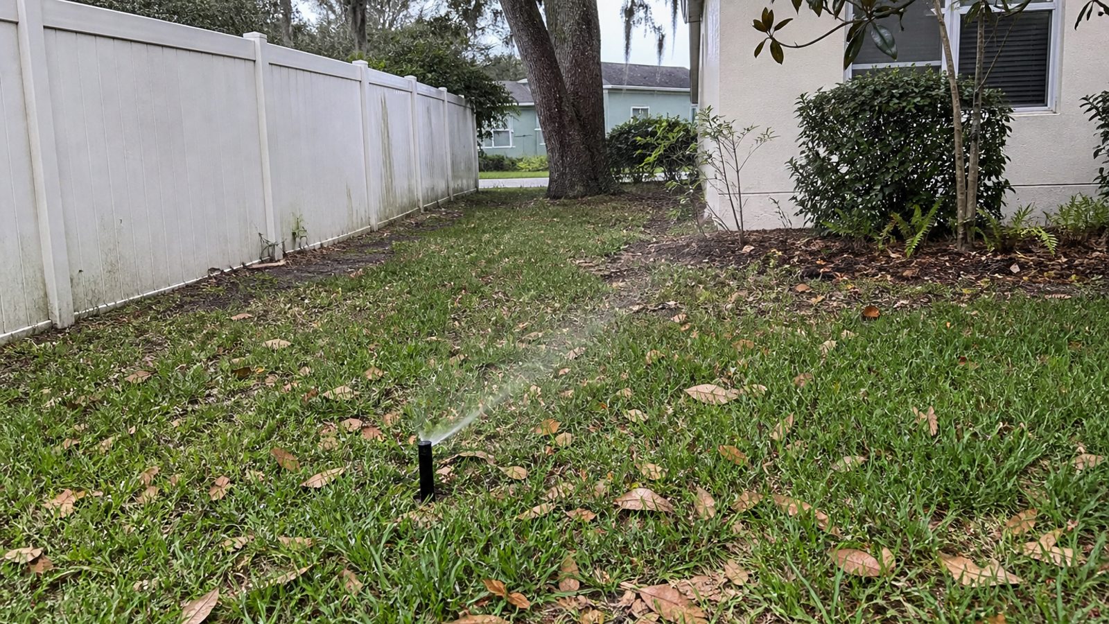 Orlando HOA-style yard with irrigation head, oak leaf debris, and shaded fence line